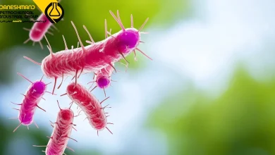 Antibacterial Biocide