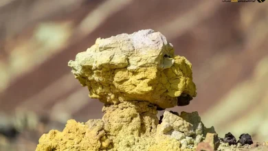 گوگرد | راهنمای خرید عمده 3 نوع پودری، مایع و گرانوله