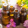 12-Top-Essential-Oils-their-uses 12-top-essential-oils-their-uses